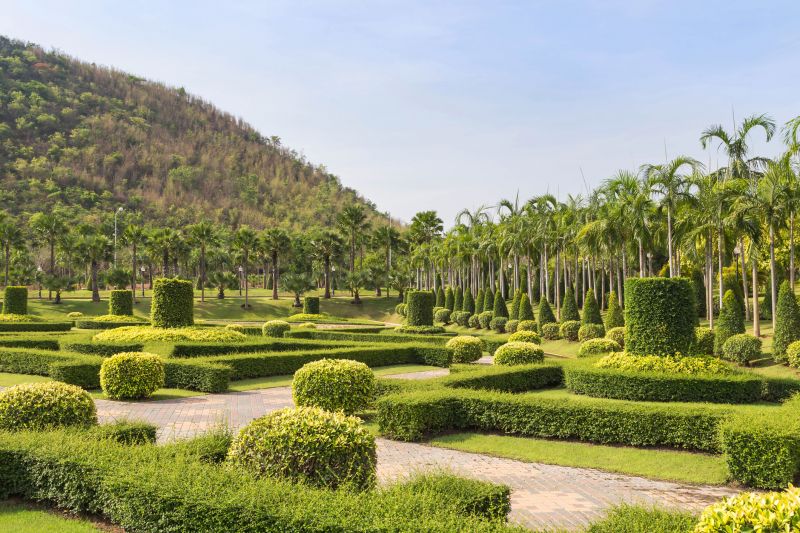 Completed Tree Trimming