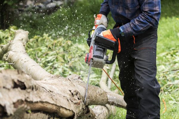 Branch Removal Service in Ballwin